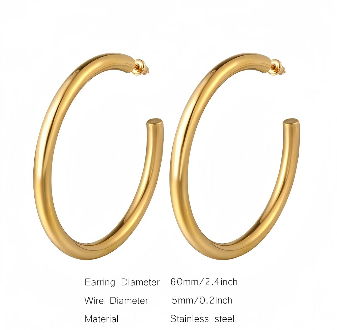 Thicke Loop Earrings