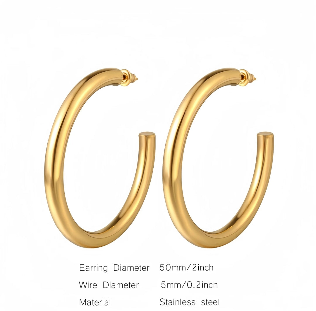 Thicke Loop Earrings