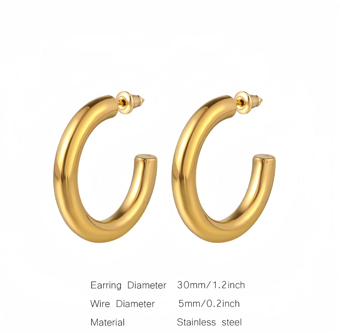 Thicke Loop Earrings