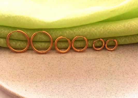 Everyday Loop Earrings