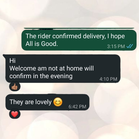 WhatsApp customer conversation