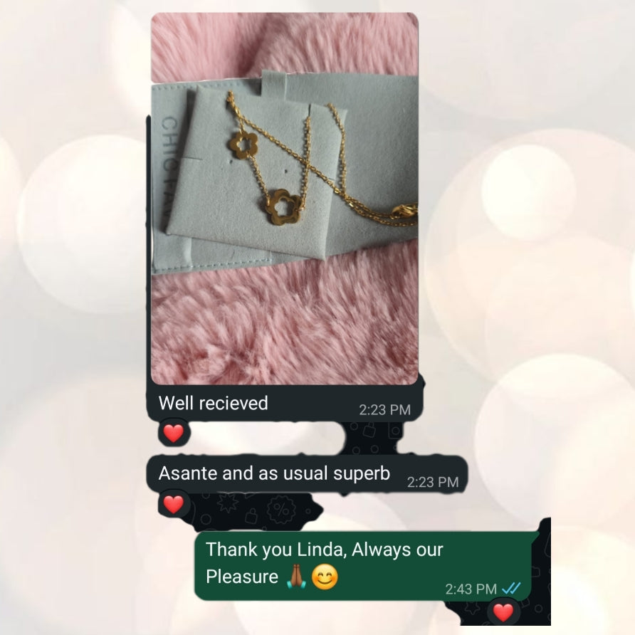 WhatsApp customer conversation