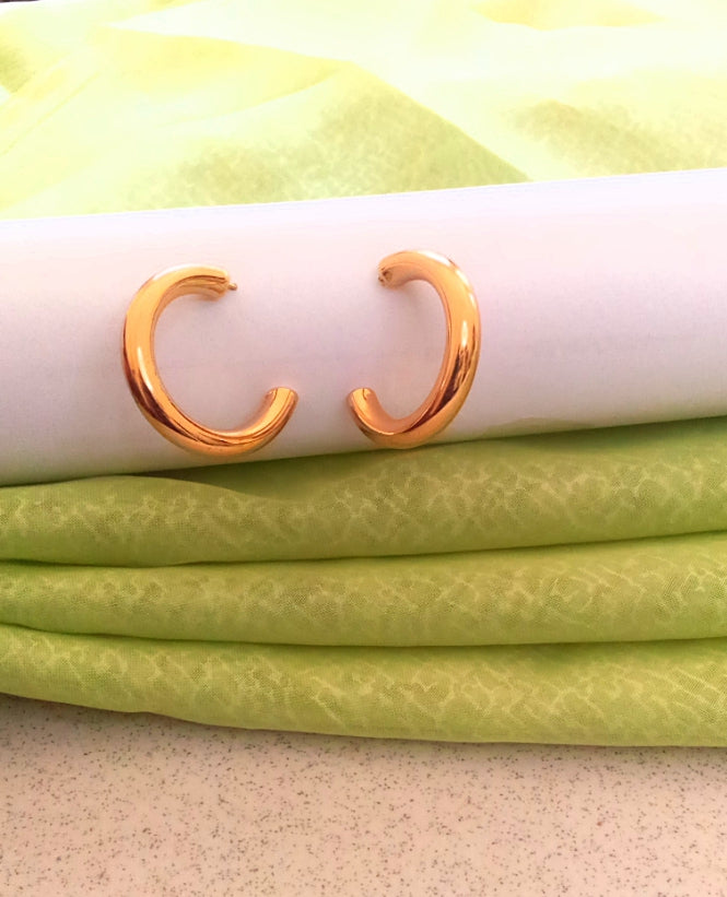 Thicke Loop Earrings