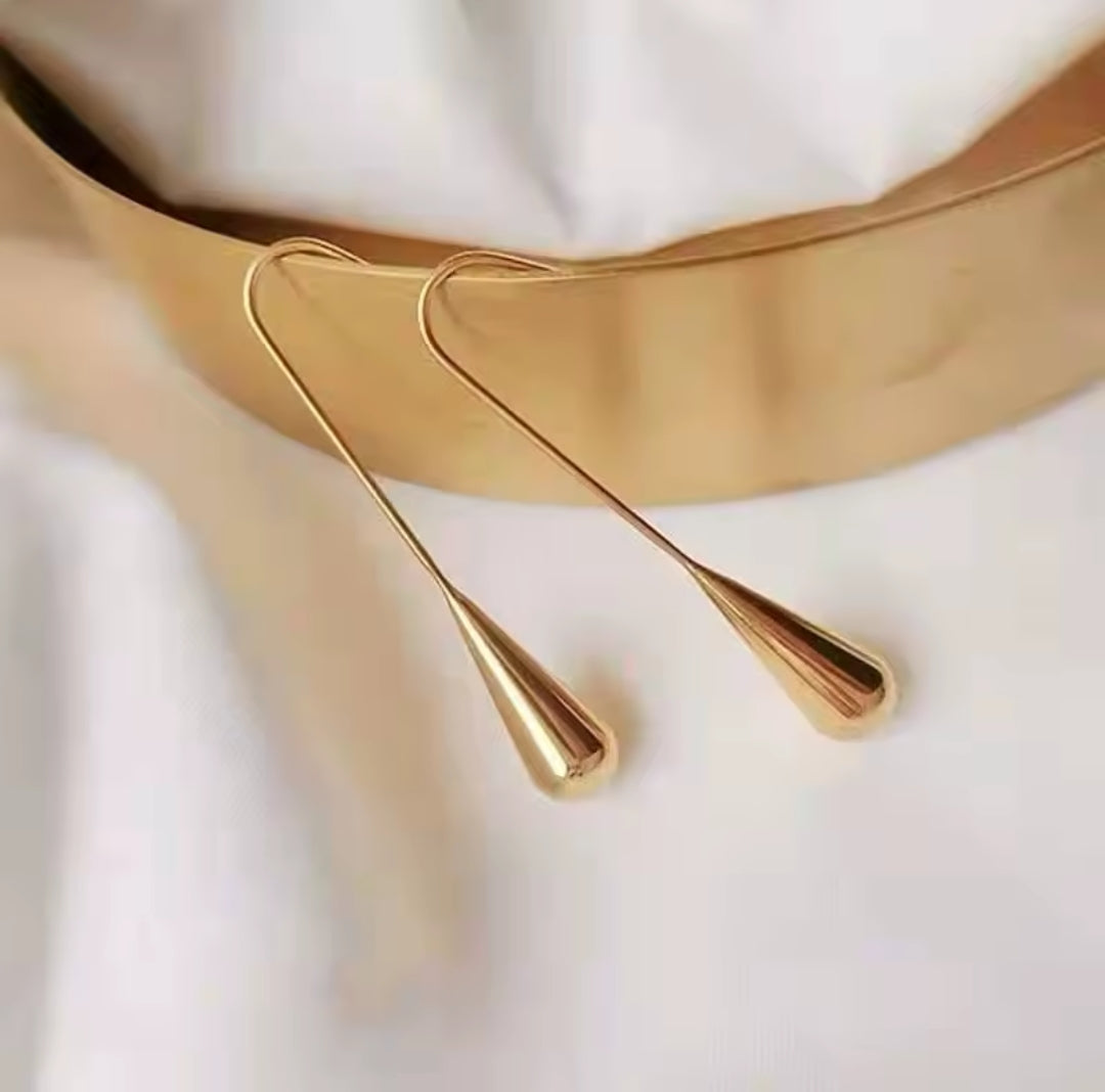 Long Dangle Earrings